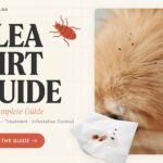 Flea Dirt Complete Guide: Pet Health, Treatment & Flea Infestations