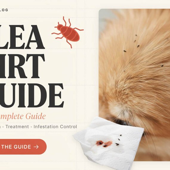 Flea Dirt Complete Guide: Pet Health, Treatment & Flea Infestations