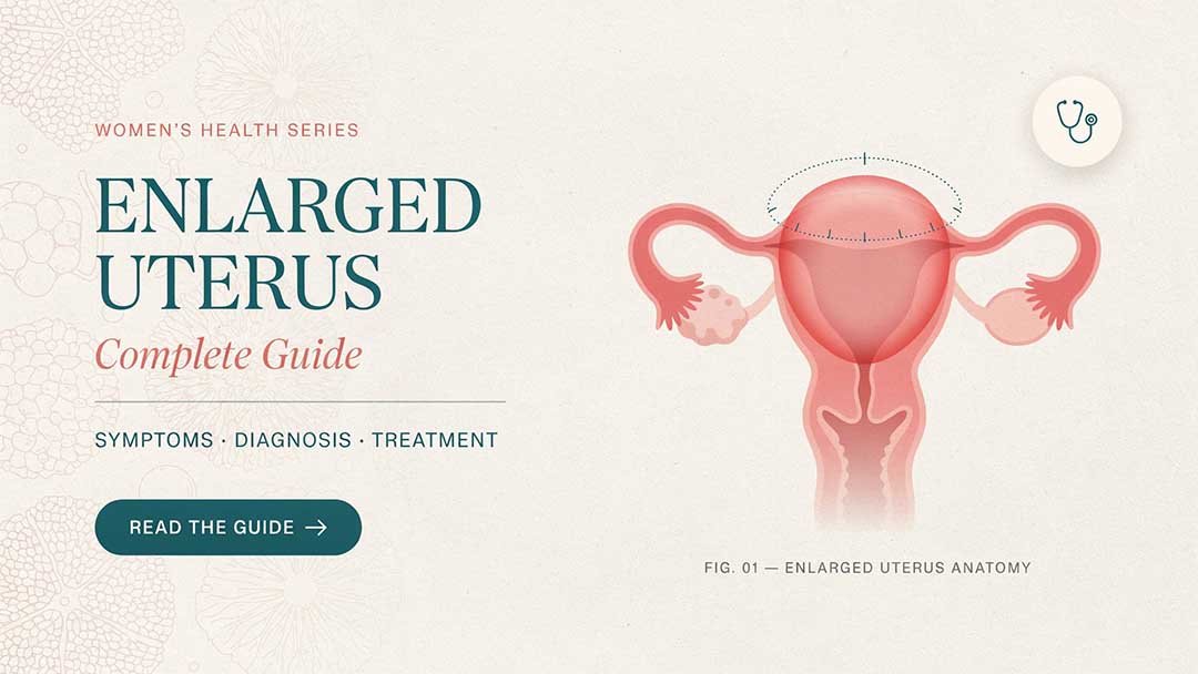 Enlarged Uterus Complete Guide: Symptoms, Diagnosis, and Treatment