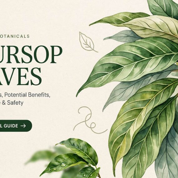 Soursop Leaves: Traditional Uses, Potential Benefits, How to Prepare & Safety