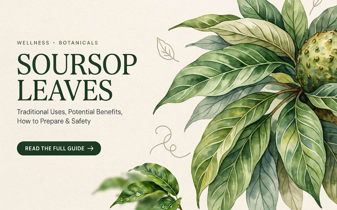 Soursop Leaves: Traditional Uses, Potential Benefits, How to Prepare & Safety