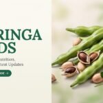 Moringa Seeds: Benefits, Uses, Nutrition, Side Effects, and Latest Updates