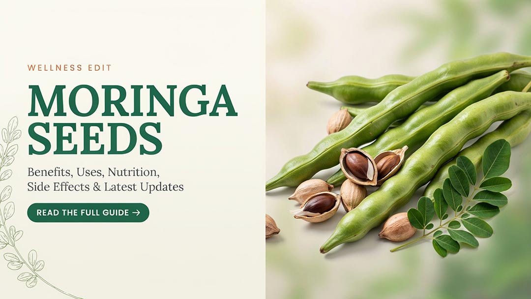 Moringa Seeds: Benefits, Uses, Nutrition, Side Effects, and Latest Updates